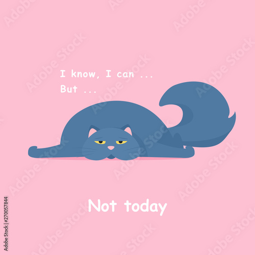 fat tired cat. Not today. Vector illustration eps 10