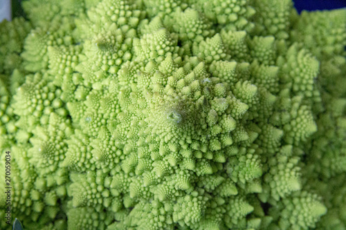 closeup fractal green vegetable macro © Daryl