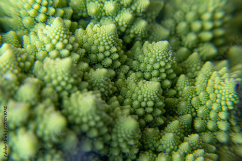 macro fractal green vegetable
