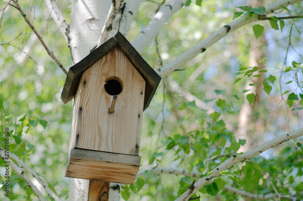birdhouse on a tree birdhouse on a tree