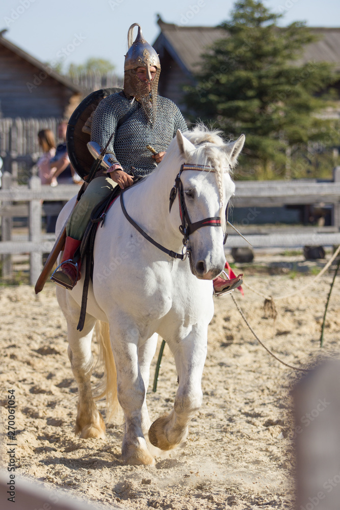 Obraz premium medieval knight on white horse