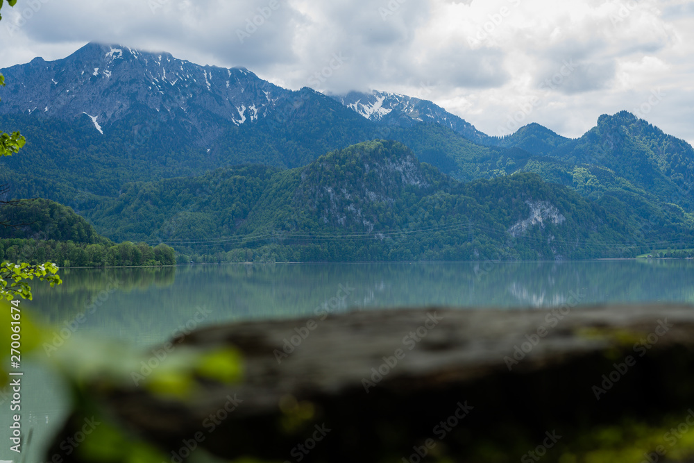 view over wood to lake and mountain in bavaria view over wood to lake and mountain in bavaria