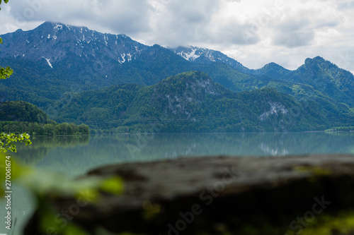 view over wood to lake and mountain in bavaria