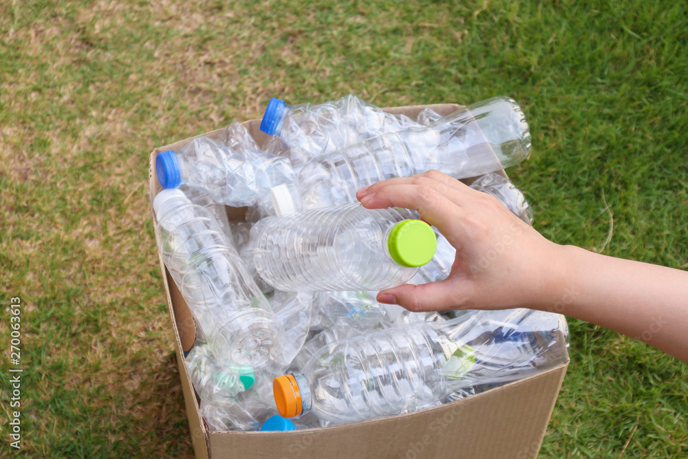 Hand Hold And Put Plastic Bottles In To Brown Recycle Garbage Box Stock Photo Adobe Stock