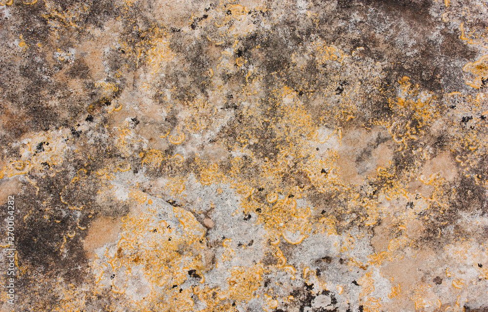 Old stone texture with lichen Old stone texture with lichen