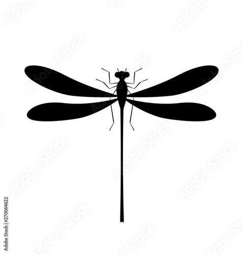 Dragonfly silhouette icon. Isolated symbol of insect