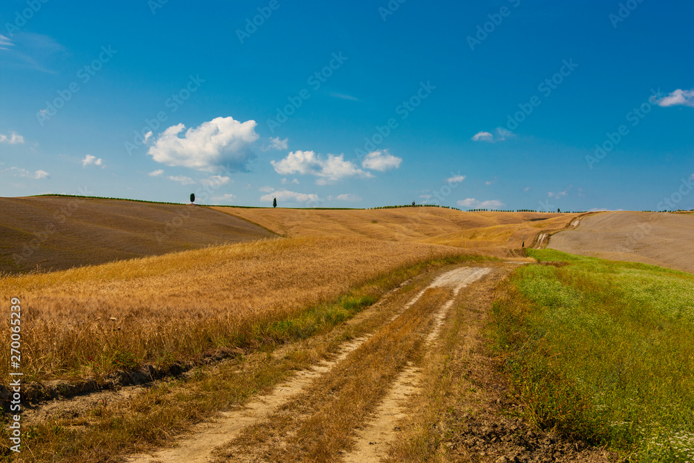 Tuscany landscape