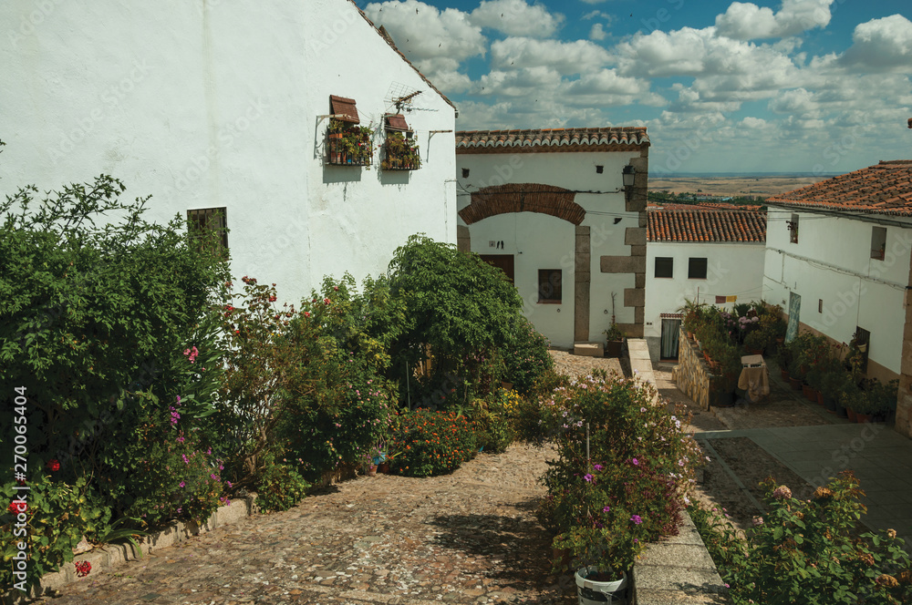 House facade with white walls, stairs, flower pots and plants at Caceres