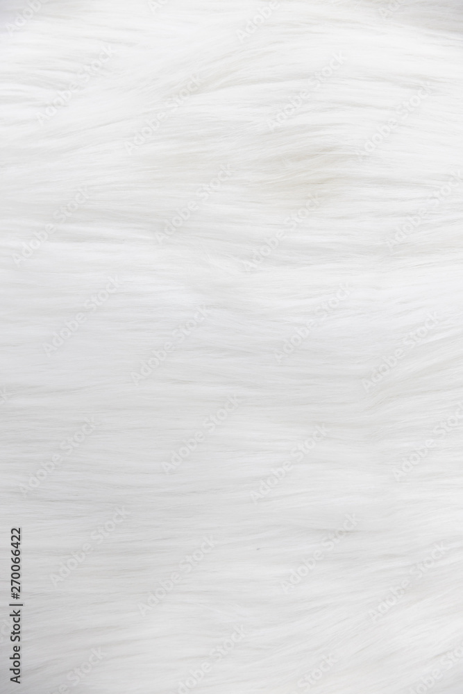 Obraz premium close-up of soft beige fluffy fur, wool, carpet texture background.