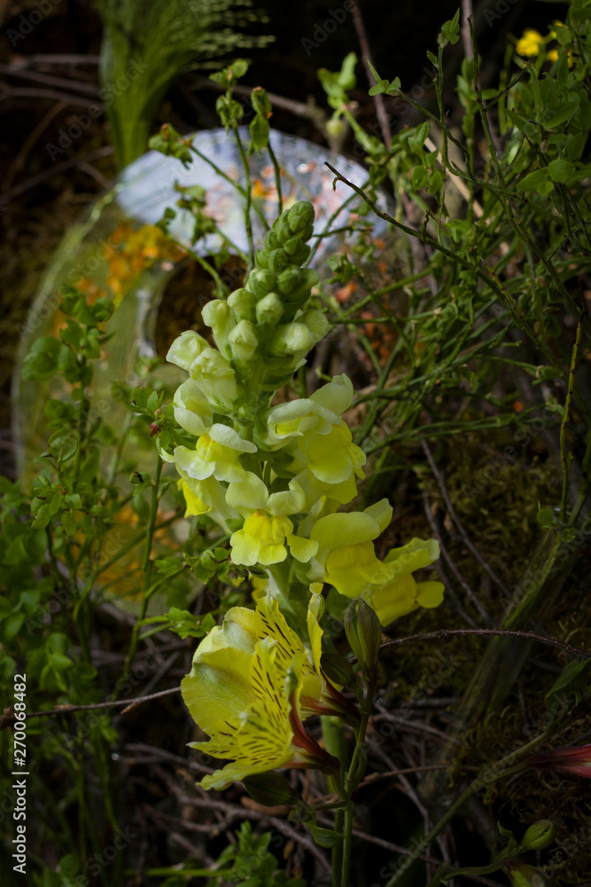 flower arrangement on a blurred green background lit up by the spring sun. flower arrangement on a blurred green background lit up by the spring sun.
