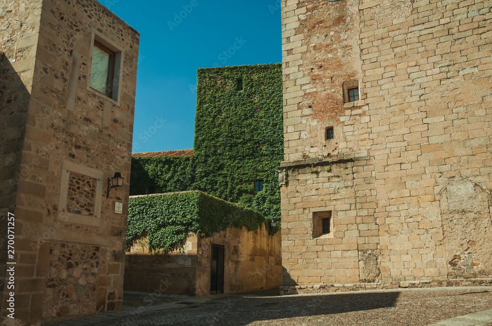 Alley with old stone buildings and creepers at Caceres