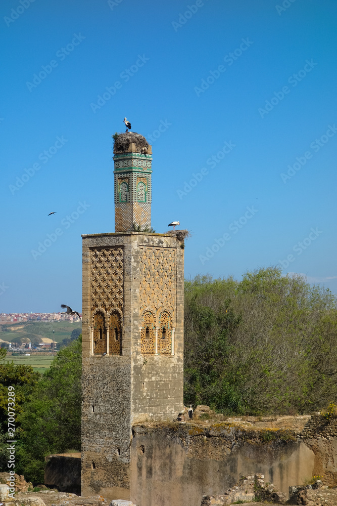 View on the storks in the ruins of the Chellah or Shalla, a medieval fortified Muslim necropolis located in the metro area of Rabat, Morocco