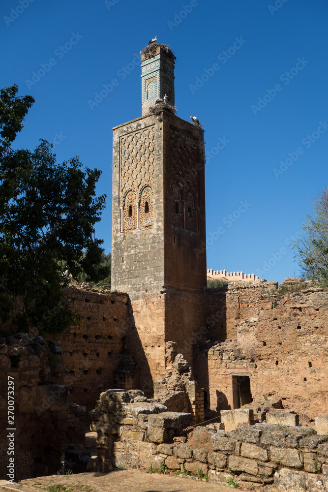 Fototapeta premium View on the storks in the ruins of the Chellah or Shalla, a medieval fortified Muslim necropolis located in the metro area of Rabat, Morocco