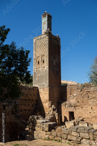 View on the storks in the ruins of the Chellah or Shalla, a medieval fortified Muslim necropolis located in the metro area of Rabat, Morocco