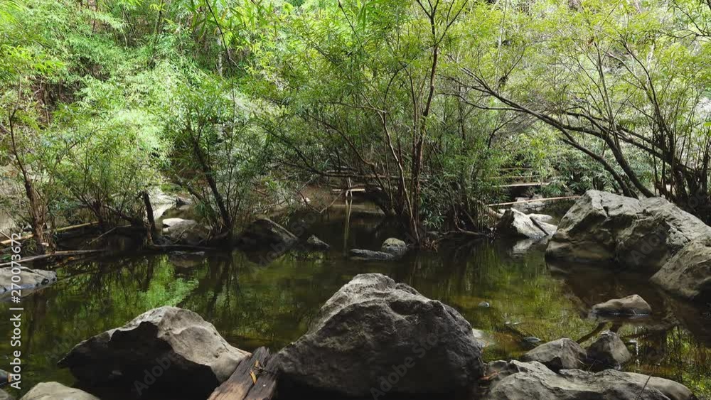 Scene in rain forest jungle with sun rays shone through some trees, Mountain stream in a forest Scene in rain forest jungle with sun rays shone through some trees, Mountain stream in a forest