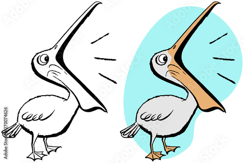 A pelican with its beak wide open.