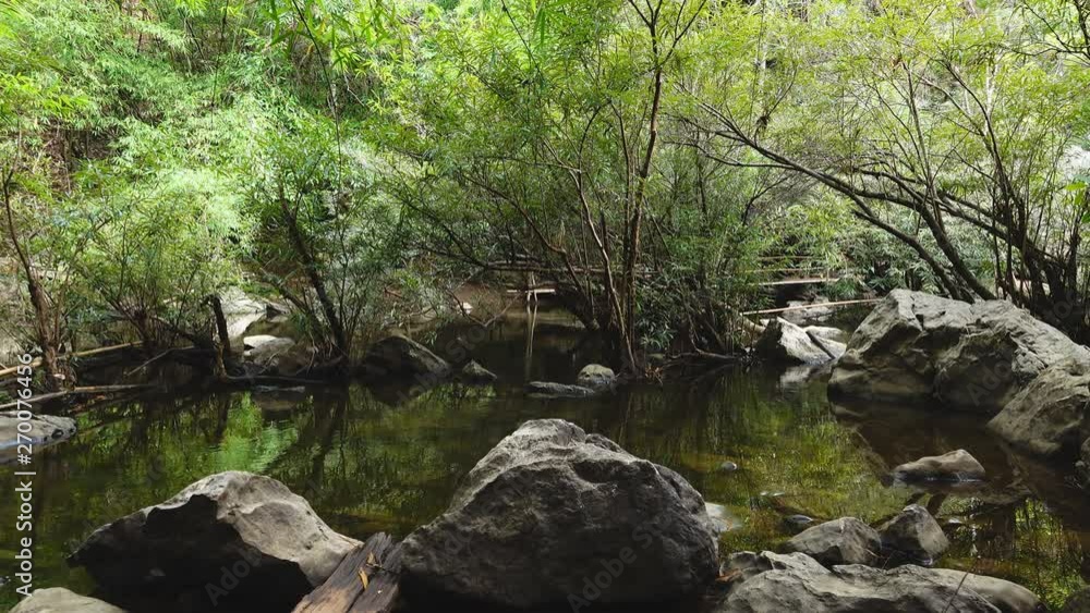 Scene in rain forest jungle with sun rays shone through some trees, Mountain stream in a forest Scene in rain forest jungle with sun rays shone through some trees, Mountain stream in a forest