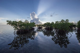 Sun rays emanating from behind a large cumulus cloud over Red Mangrove trees in Biscayne National Park, Florida.