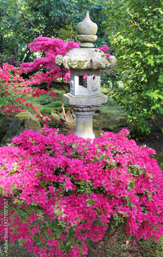 Blooming Japanese garden