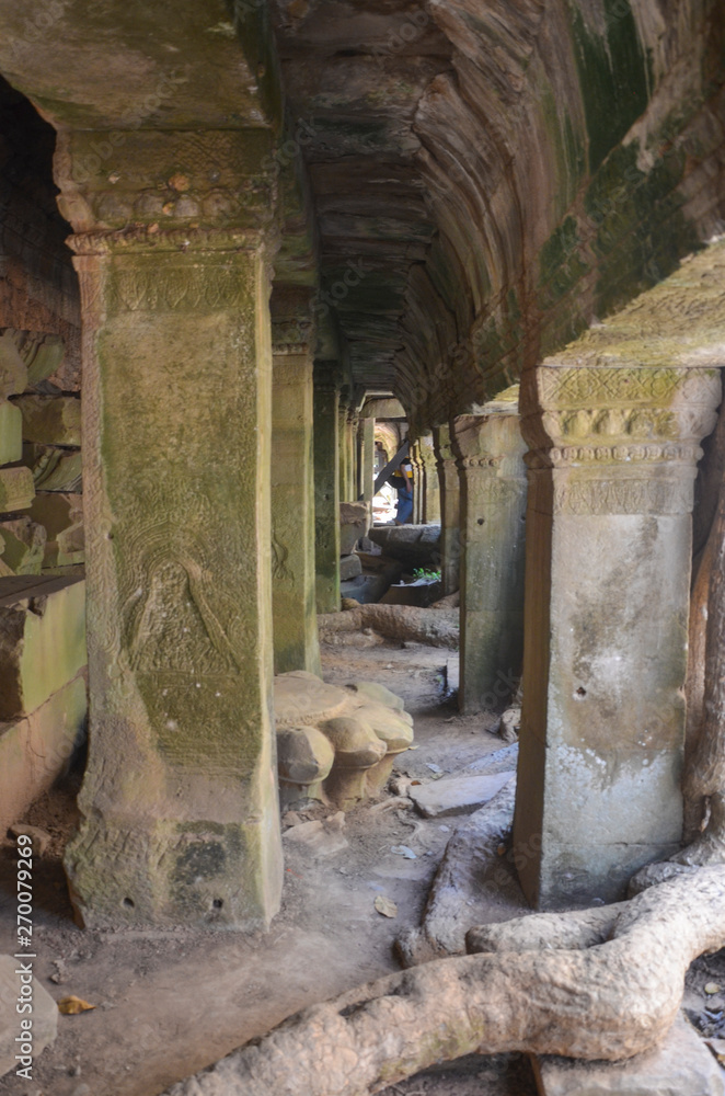 A view of Ta Phrom temple in Siem Reap, Cambodia A view of Ta Phrom temple in Siem Reap, Cambodia