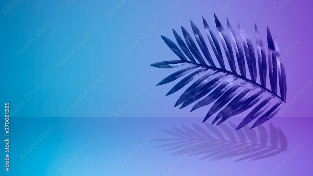 Collection of tropical leaves,foliage plant in gradient color on black background