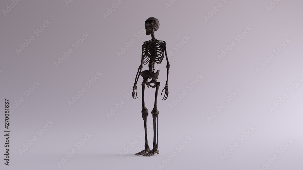 Black Iron Skeletal System Anatomical Model 3 Quarter Front Left View 3d illustration 3d render