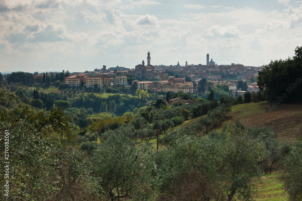 Hiking hills, backroads and vineyards at autumn, near Siena in Tuscany, Italy