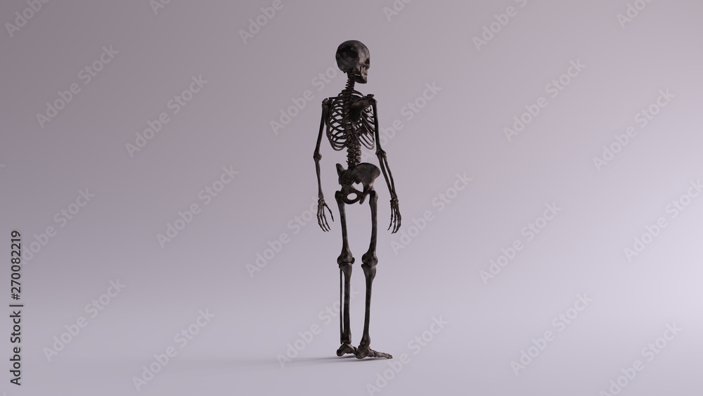 Black Iron Skeletal System Anatomical Model 3 Quarter Rear Right View 3d illustration 3d render Black Iron Skeletal System Anatomical Model 3 Quarter Rear Right View 3d illustration 3d render