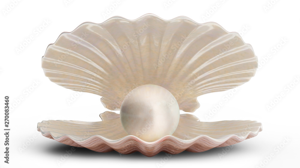 Sea shells with pearl inside. Gem, women's jewelry, nacre bead. For your banner, poster, logo. Sea shell, shiny sea pearl isolated on white background, 3d illustration Sea shells with pearl inside. Gem, women's jewelry, nacre bead. For your banner, poster, logo. Sea shell, shiny sea pearl isolated on white background, 3d illustration