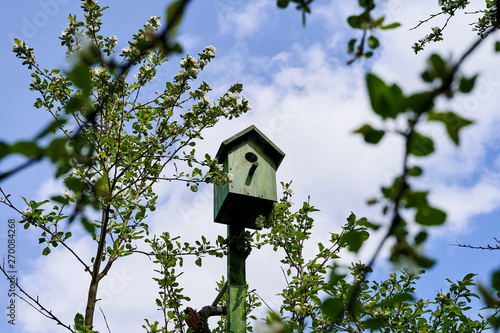 Birdhouse on an Apple tree in the garden