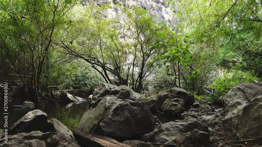 Scene in rain forest jungle with sun rays shone through some trees, Mountain stream in a forest Scene in rain forest jungle with sun rays shone through some trees, Mountain stream in a forest