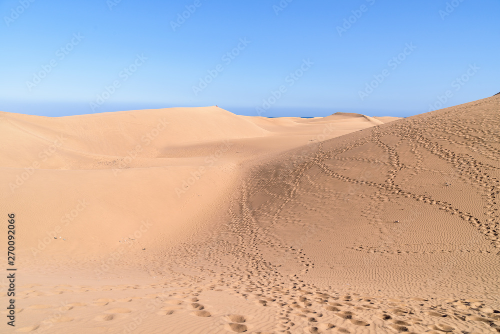 The sands of Maspalomas. Beautyful dunes in the south of Gran Canaria