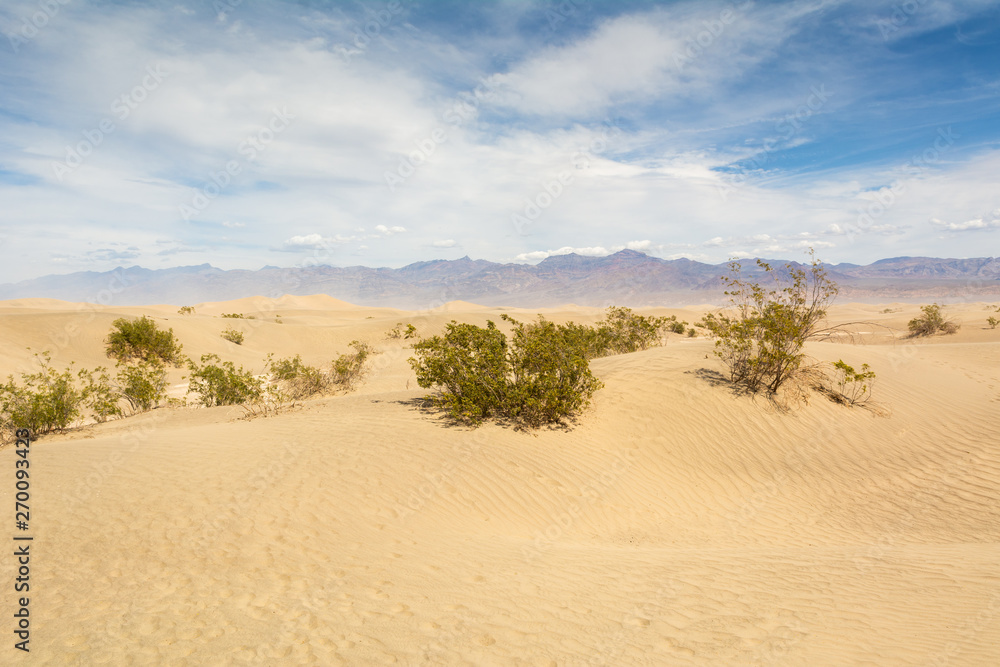 Mesquite Flat Sand Dunes in Death Valley National Park. California, USA Mesquite Flat Sand Dunes in Death Valley National Park. California, USA