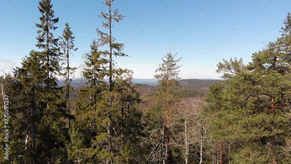 Forward view of a drone flying at low altitude through a Norwegian forrest between trees on a hill to reveal a wide panorama of endless forrest, hills and mountains underneath up to the horizon. Forward view of a drone flying at low altitude through a Norwegian forrest between trees on a hill to reveal a wide panorama of endless forrest, hills and mountains underneath up to the horizon.