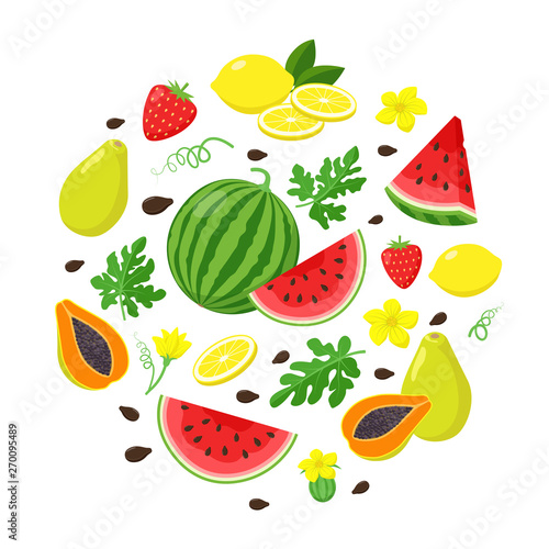 Fototapeta Naklejka Na Ścianę i Meble -  Set of summer fruits in flat design, vector illustration isolated on white background. Watermelon, papaya, lemon, strawberry. Summertime concept illustration.