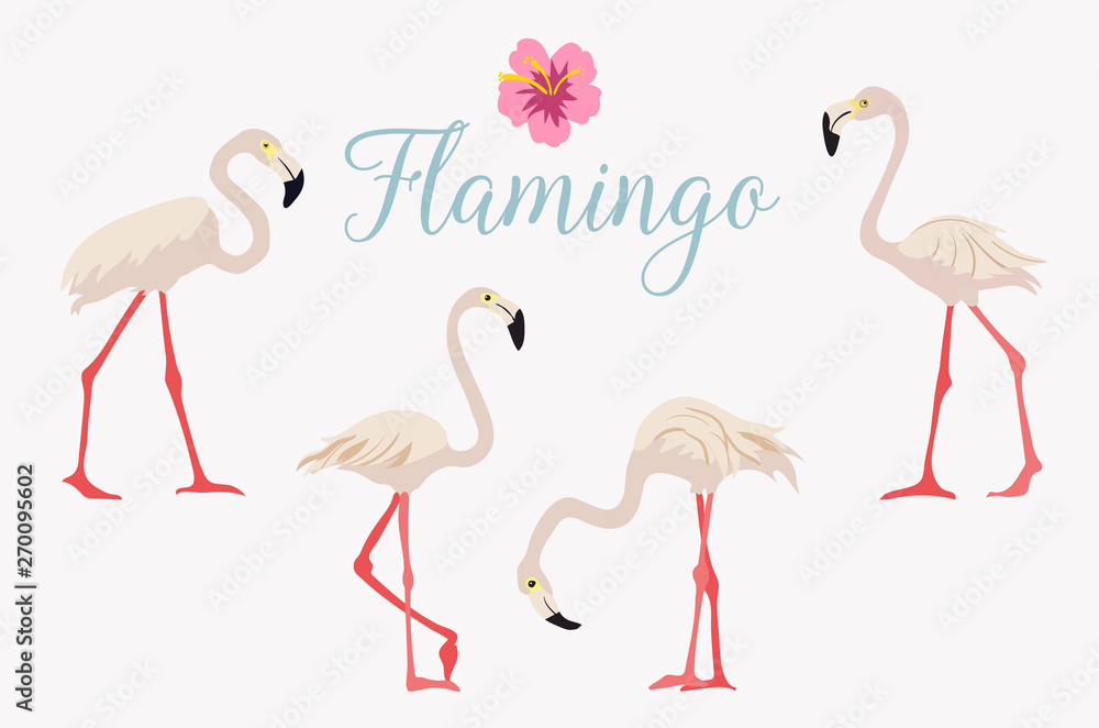 Fototapeta premium Cartoon pink flamingo vector set Cute flamingos collection Flamingo character animal exotic nature wild fauna.