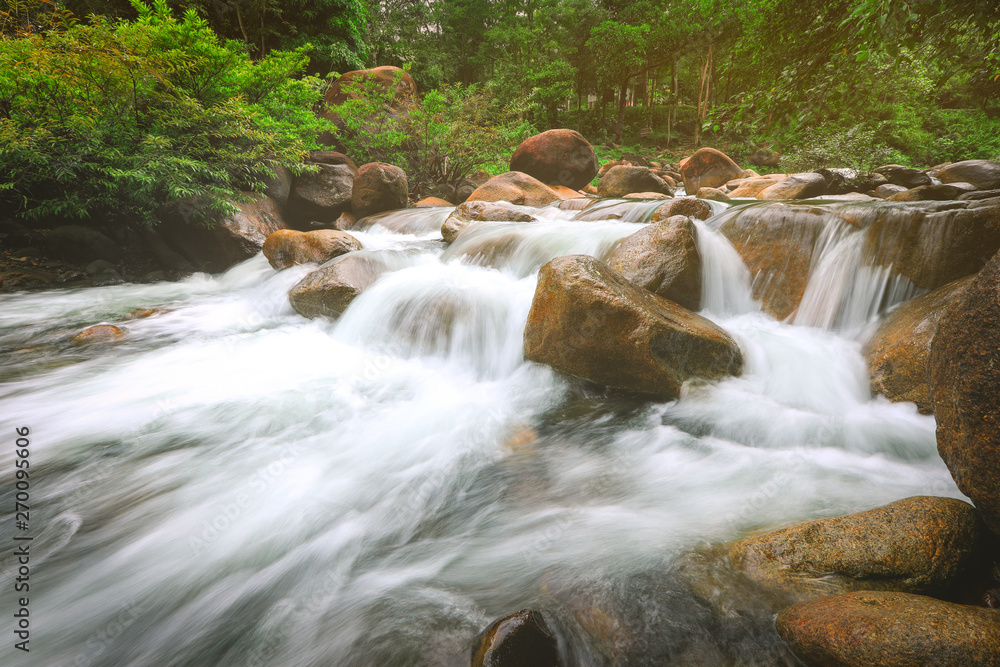River stream waterfall and tropical forest green trees River stream waterfall and tropical forest green trees
