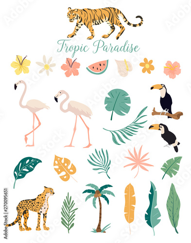 Tropic paradise animals flowers and plants
