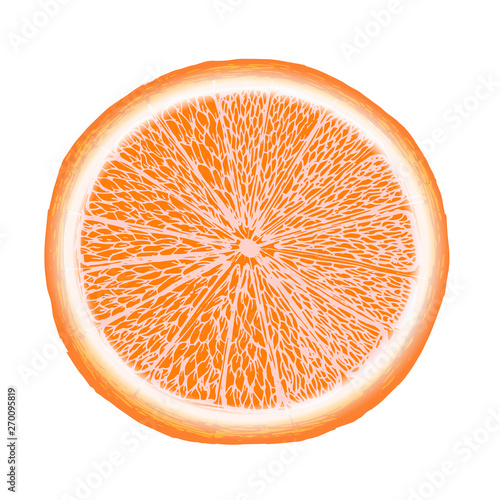 Vector fresh ripe slice of orange on white. Healthy food logo
