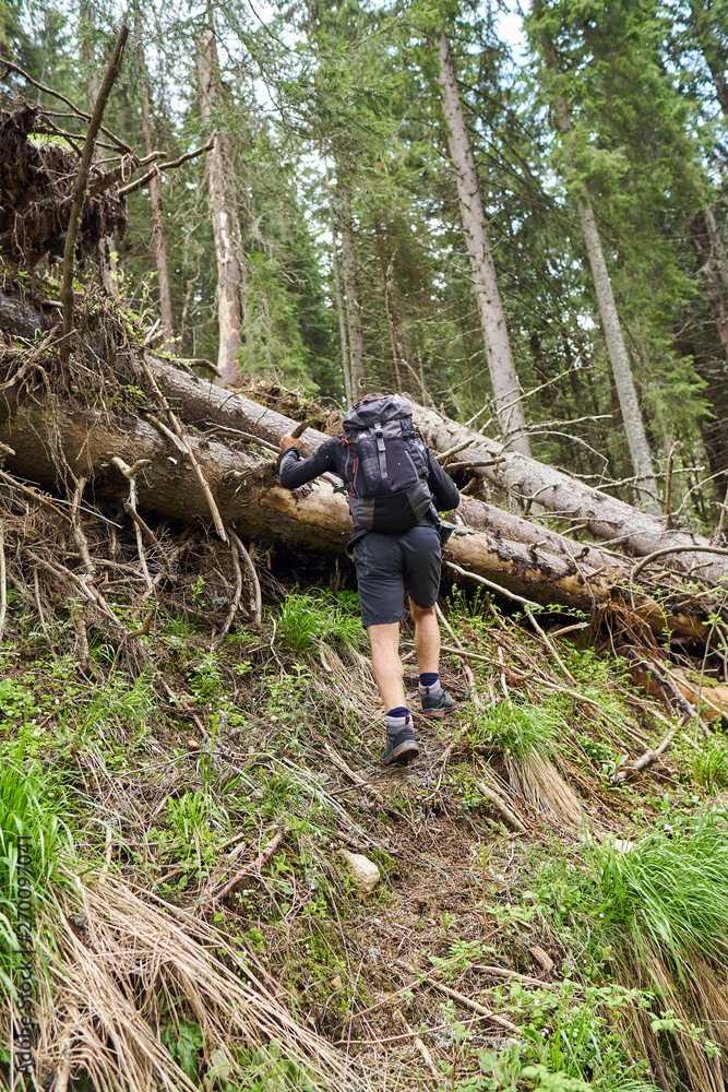 Hiker climbing over broken trees