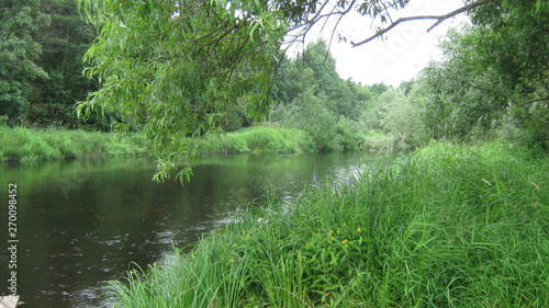 lake in forest