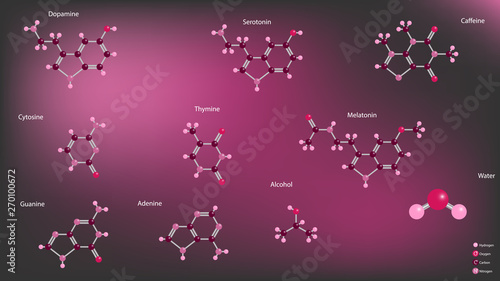 Chemical molecules structures vector illustration