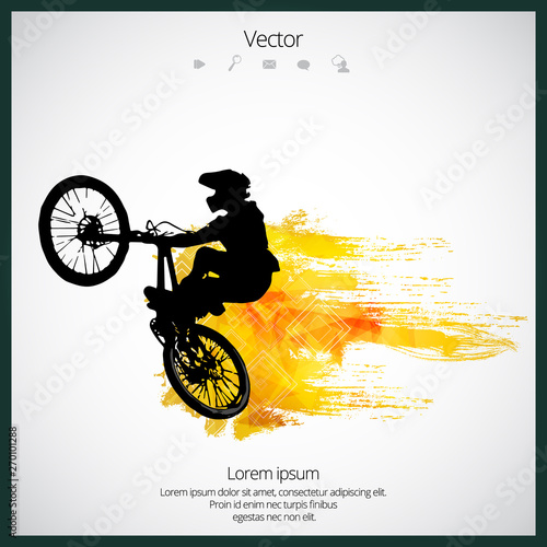 Sport illustration of bmx rider