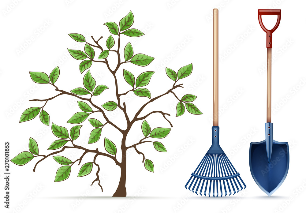 Gardening equipment tools for springtime working. Shovel, rake and spring tree with green leaves on branches, Isolated on white background. Eps10 vector illustration. - obrazy, fototapety, plakaty 