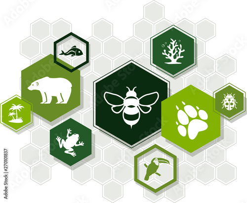 biodiversity icon concept – endangered species & biological diversity icons, vector illustration