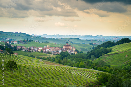 View of Barolo town  Piedmont  Italy  panorama  the medieval castle and the vineyards. Barolo is the main village of the Langhe wine region.