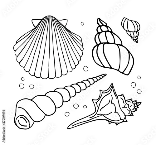 Vector hand drawn doodle sketch set collection of different shell isolated on white background 