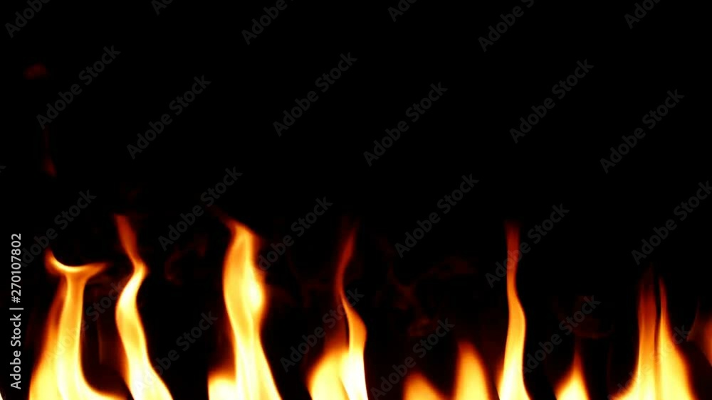 Fire Flames Igniting And Burning - Slow Motion. A line of real flames ignite on a black background. Real fire. Drop it over your current footage & composite using Add or Screen blend modes. Fire Flames Igniting And Burning - Slow Motion. A line of real flames ignite on a black background. Real fire. Drop it over your current footage & composite using Add or Screen blend modes.