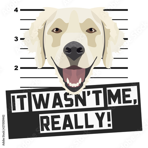 Mugshot Polizeifoto Golden Retriever