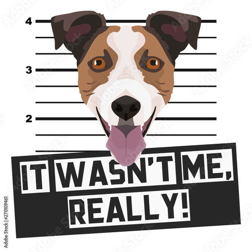Mugshot Polizeifoto Jack Russell Terrier